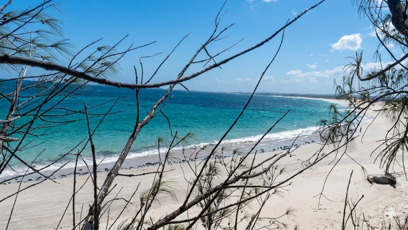 image plage